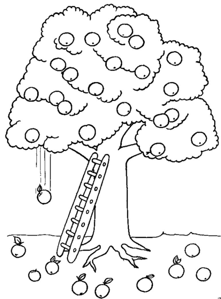 771x1042 Unique Fruit Tree Coloring Page New Pages Desi