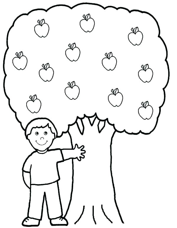 600x775 Apple Tree Coloring Page