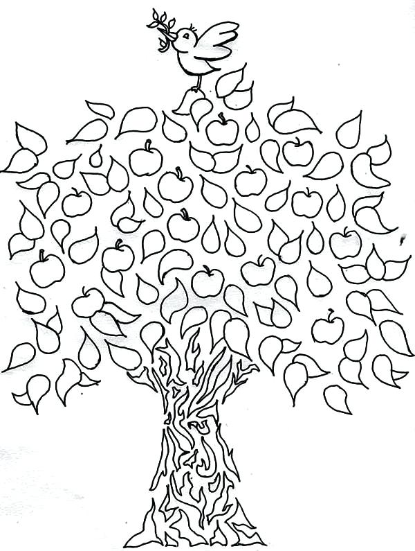 600x795 Apple Tree Coloring