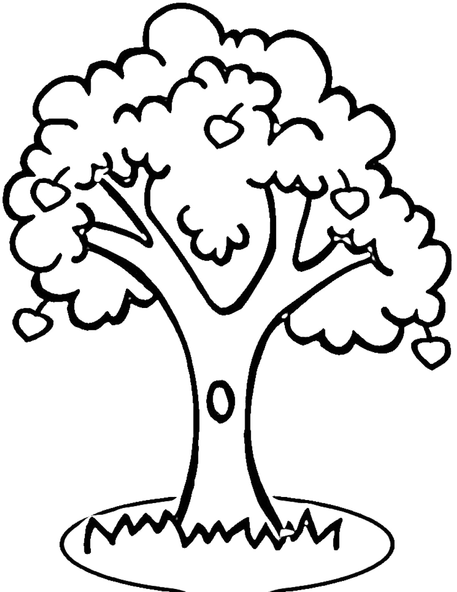 900x1165 Apple Tree