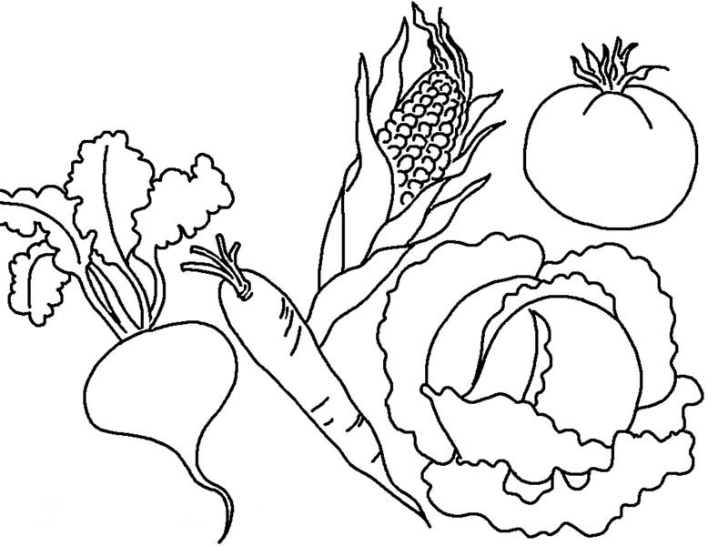 800x600 Vegetable Coloring Pages Fruits Vegetables Coloring Pages