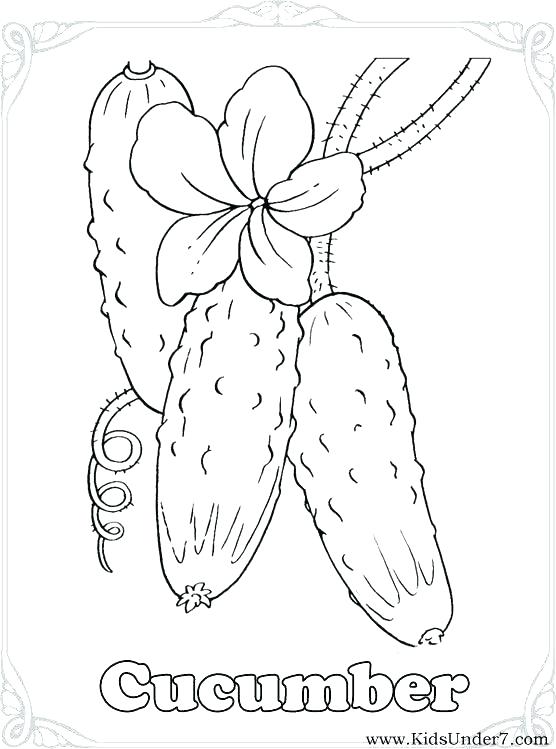 556x749 Vegetables Coloring Pages Printable Fruit Coloring Pages Exciting