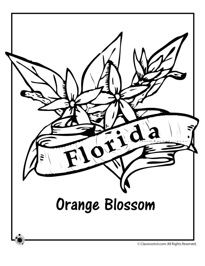 680x880 85 Best Florida Images On Coloring Books, Coloring