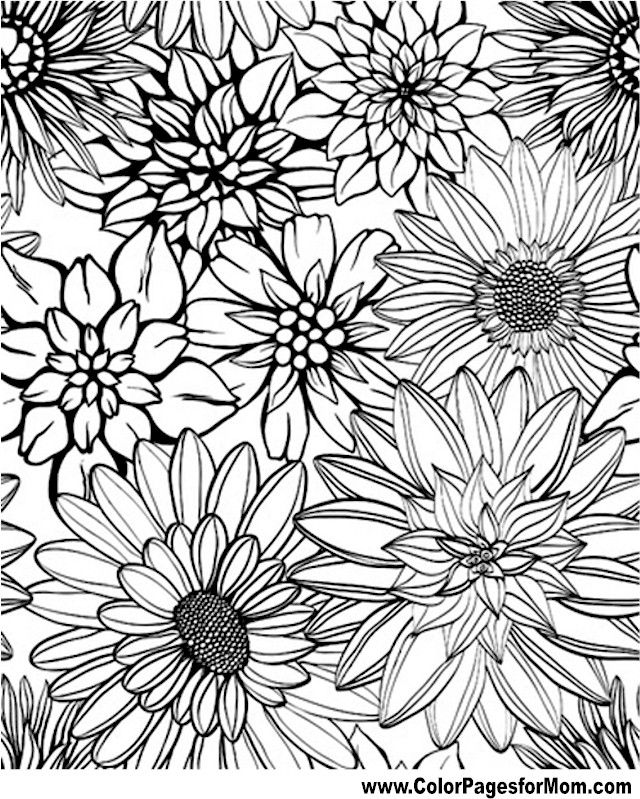 640x799 Flower Coloring Page 79 Coloring Therapy Flower