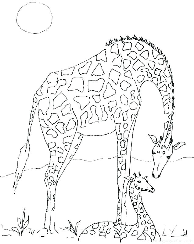 636x800 Giraffe Coloring Pages To Print Giraffe Coloring Pages Printable