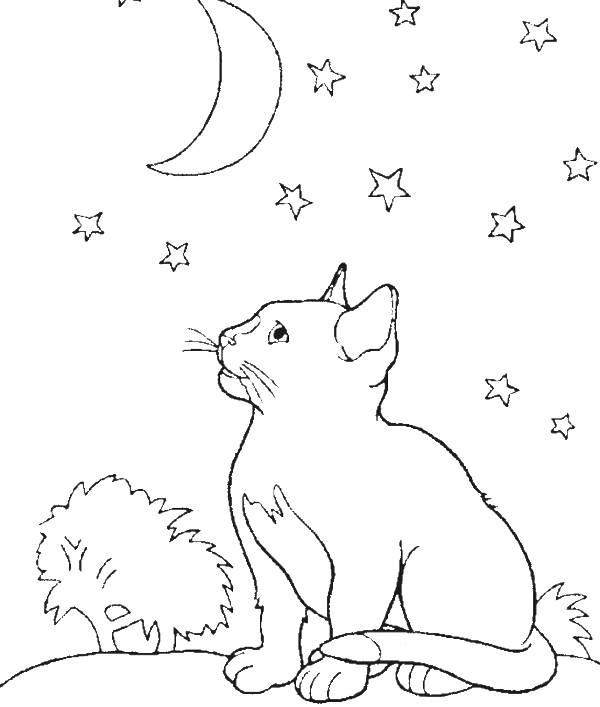 Full Moon Coloring Pages