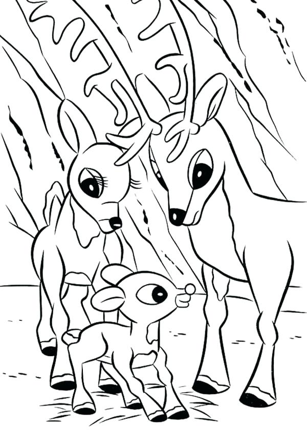 600x840 Reindeer Coloring Page Reindeer To Color Unique Coloring Pages