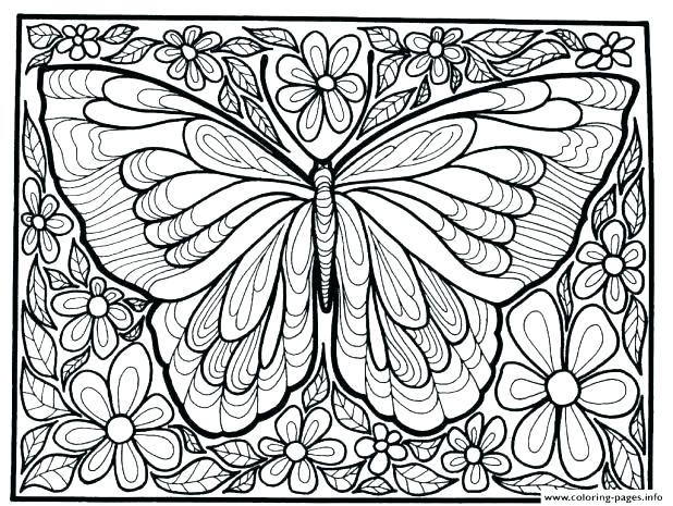 618x465 Butterfly Color Page Butterfly Coloring Images Butterfly Coloring