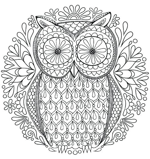 525x559 Free Coloring Pages Adult As Inspiring Free Owl Coloring Page By