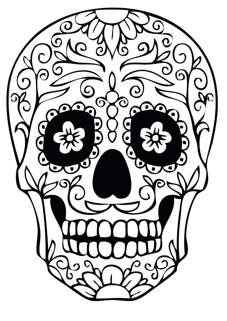 736x1041 Animal Coloring Pages For Adults Animal Coloring Pages Full Size
