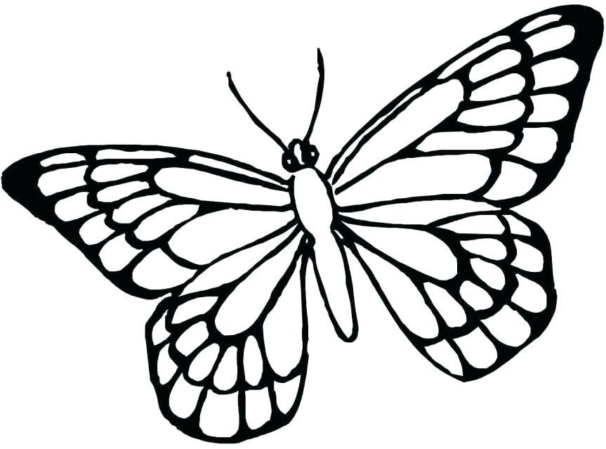 863x639 Appealing Monarch Butterfly Coloring Pages Coloring Pages Full