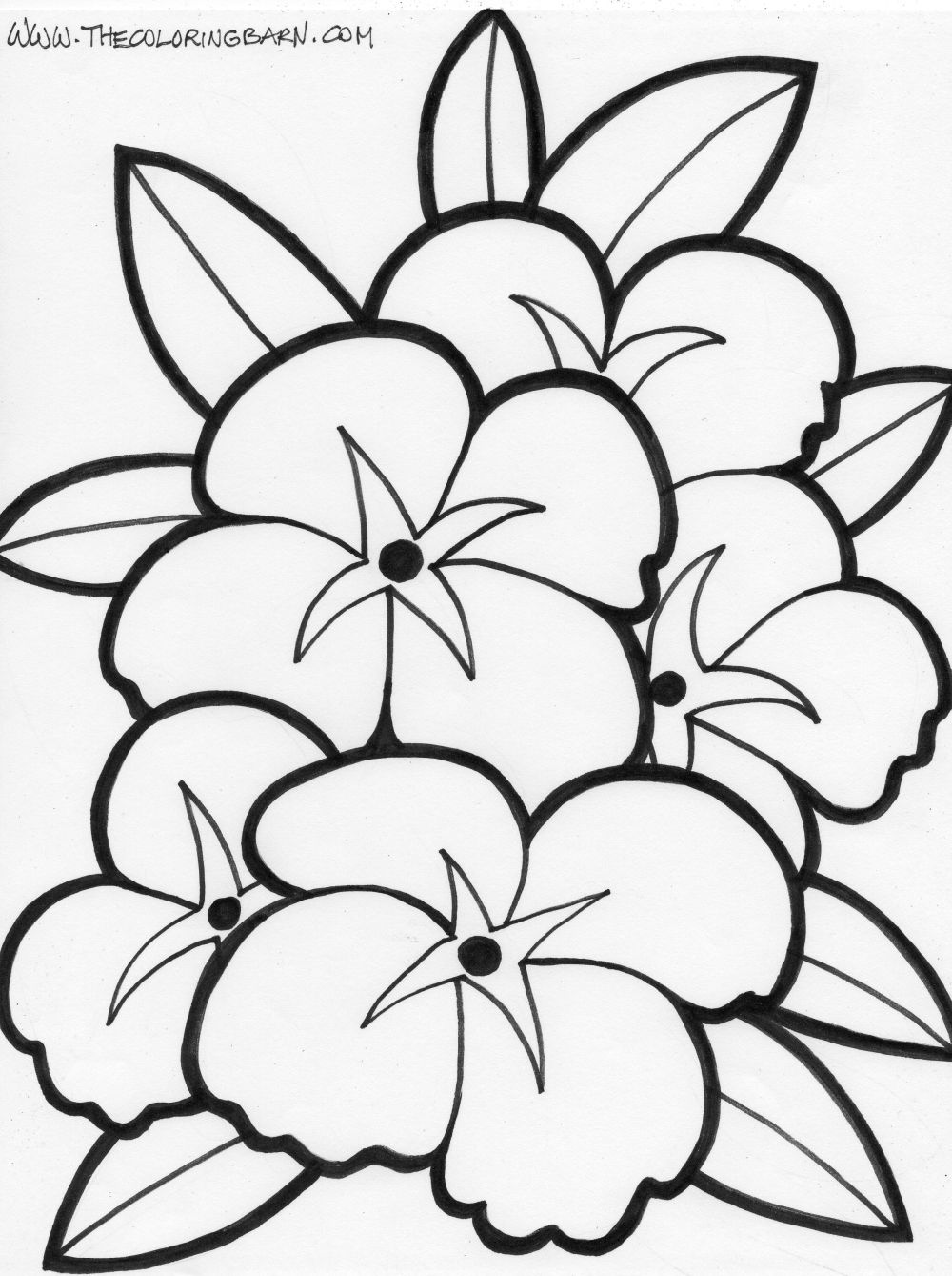 1000x1339 Color Pages Flowers Free Printable Coloring Google Search Doodle
