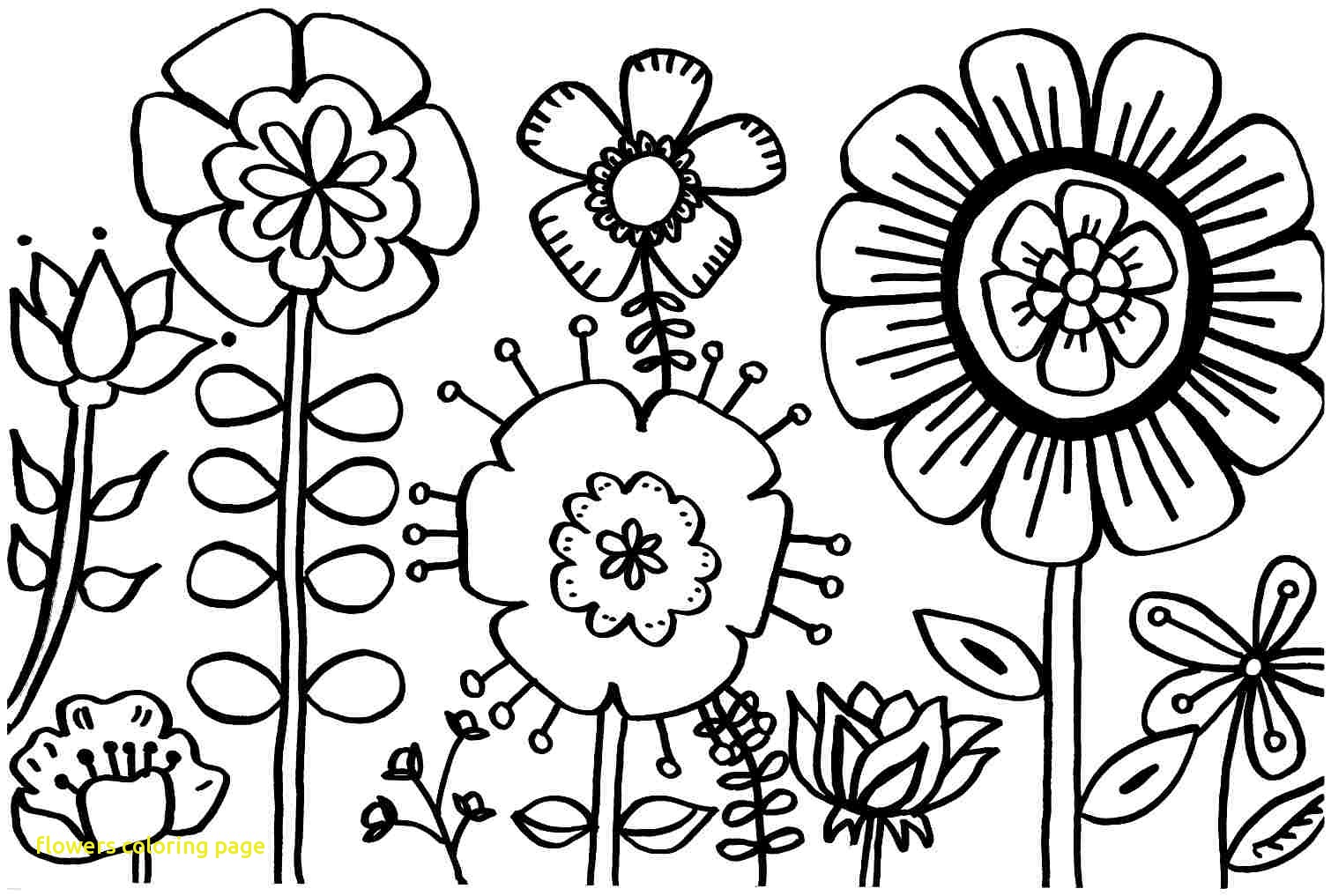 1510x1017 Floral Coloring Pages Flowers Page With Spring Flower Printable
