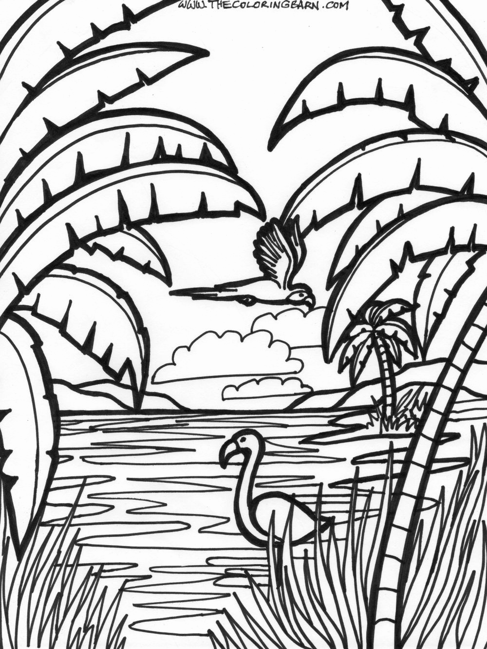 1000x1331 Downloadable Coloring Pages Beautiful Flamingo Coloring Page Fun