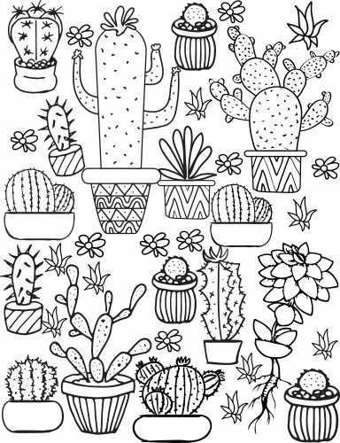 384x500 Succulent Coloring Page