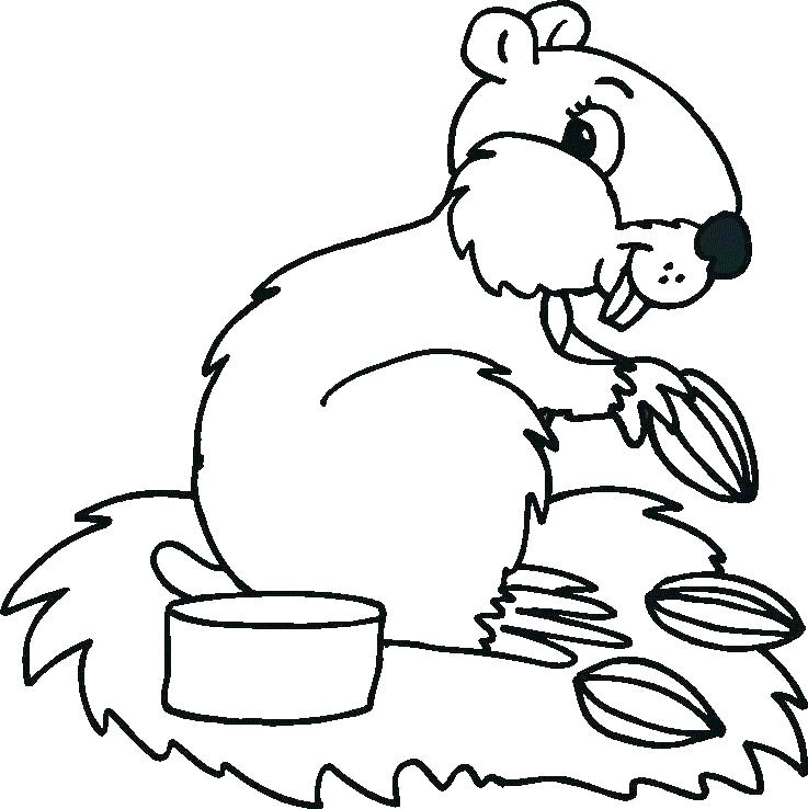 737x738 Coloring Pages Animals Cute Kids Printable In Tiny Draw Coloring