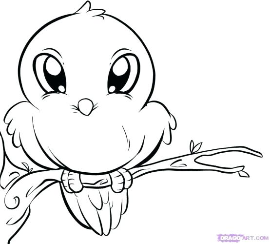 554x500 Printable Coloring Pages For Kids Coloring Pages Fun2draw Coloring