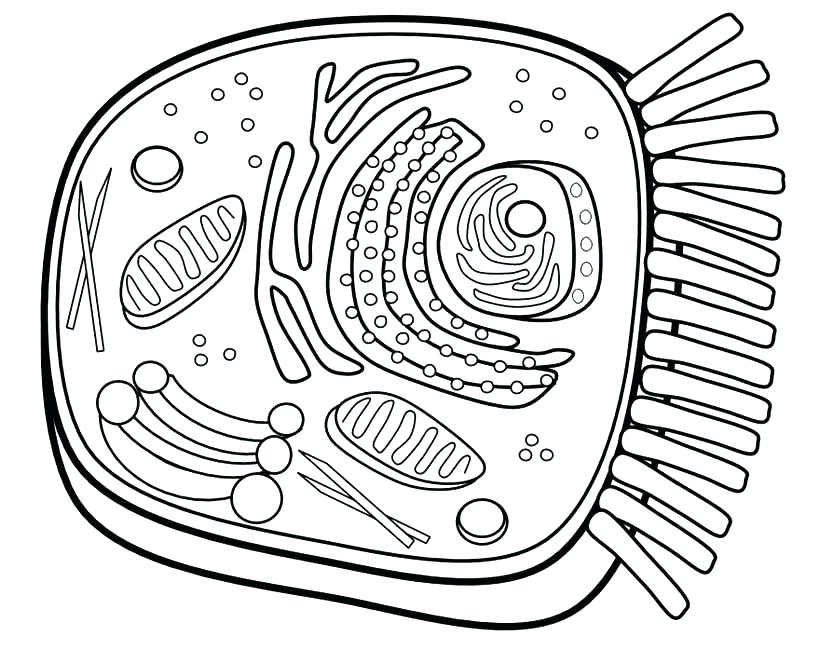 820x650 Coloring Sheet Key Flag Coloring Coloring Pages Impressive