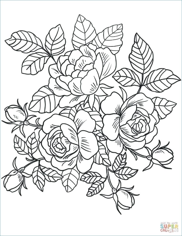 765x990 Outstanding Herbie Coloring Pages Funky Simple Food Coloring Pages