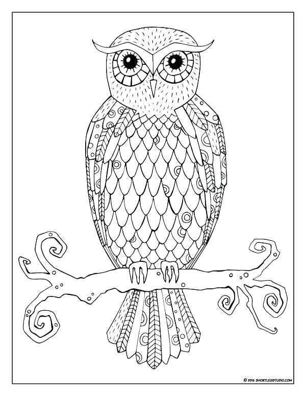 600x776 Coloring Pages Owl Hard Owl Colouring Pages Owl Color Pages Funky