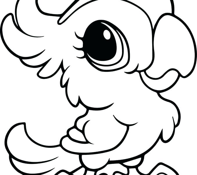 678x600 Funny Animal Coloring Pages Exciting Funny Coloring Pages On Funny