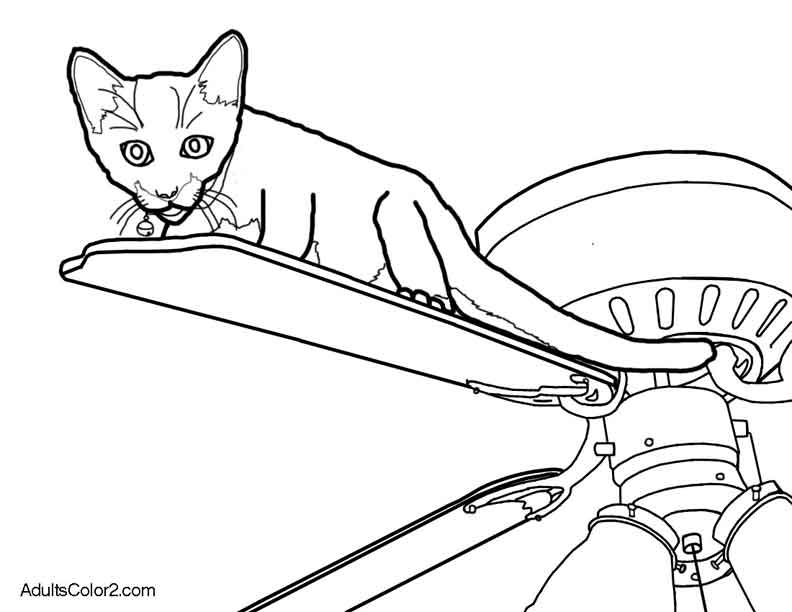 792x612 Aww Cute Cat Coloring Pages