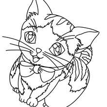 220x220 Funny Cat Coloring Pages