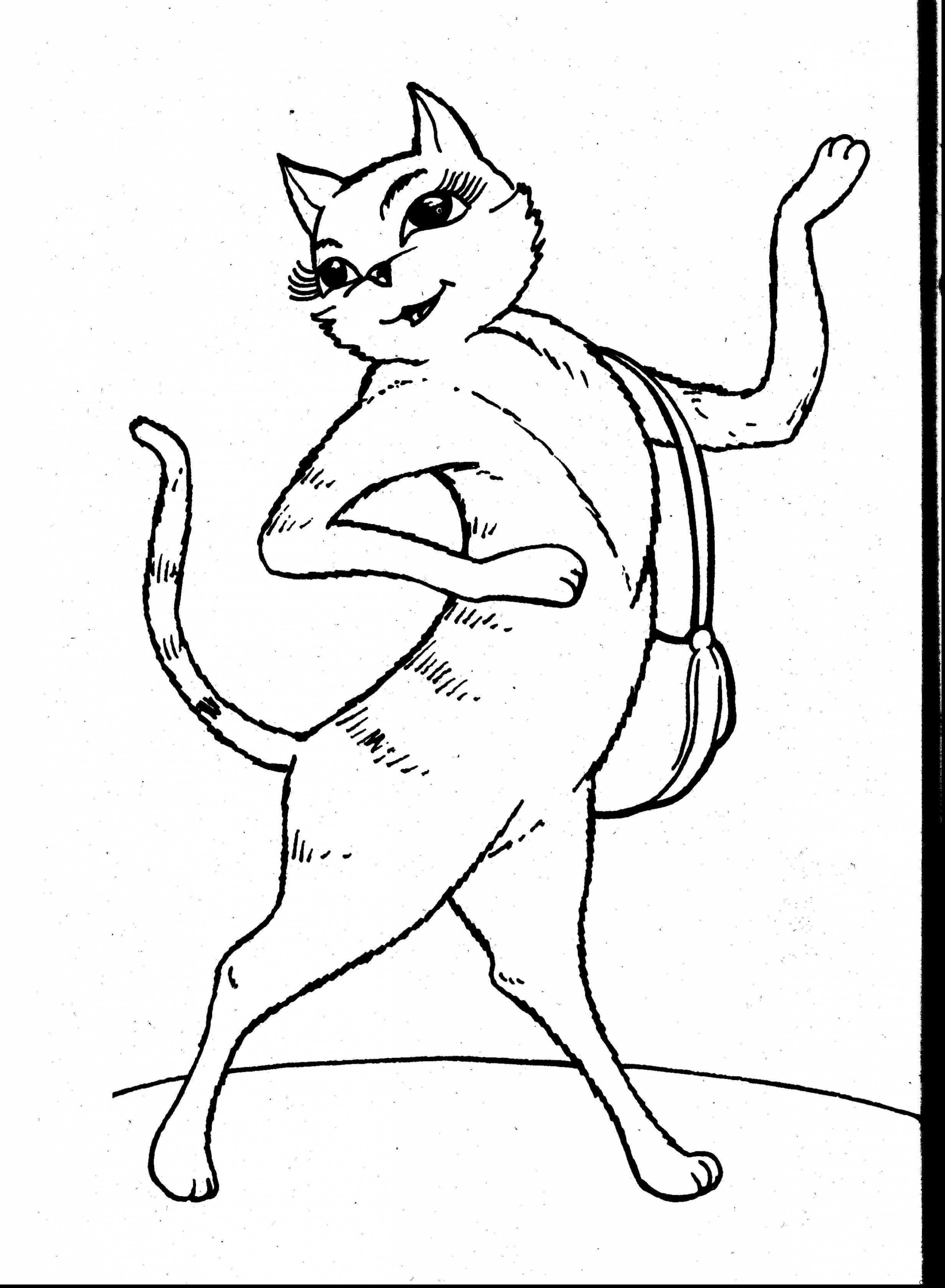 2699x3677 Cute Cat Coloring Pages 1451454241adult Two Cats Adult 27f Funny