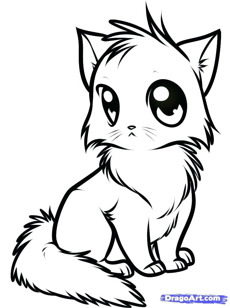 800x1070 Funny Cat Coloring Pages Monumental Cute Kitten Extraordinary Ba