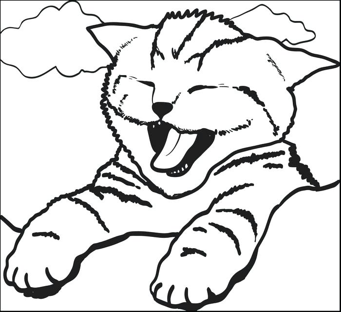 700x640 Cat Coloring Page Great Funny Cat Coloring Pages Image Halloween