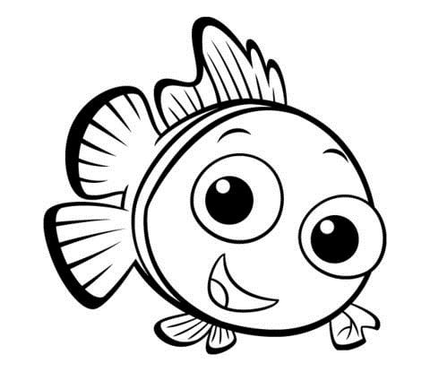 480x415 Small Fish With Funny Face Fish Kids Net