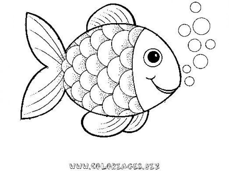 730x547 Bold And Modern Rainbow Fish Coloring Page Best 25 Template Ideas
