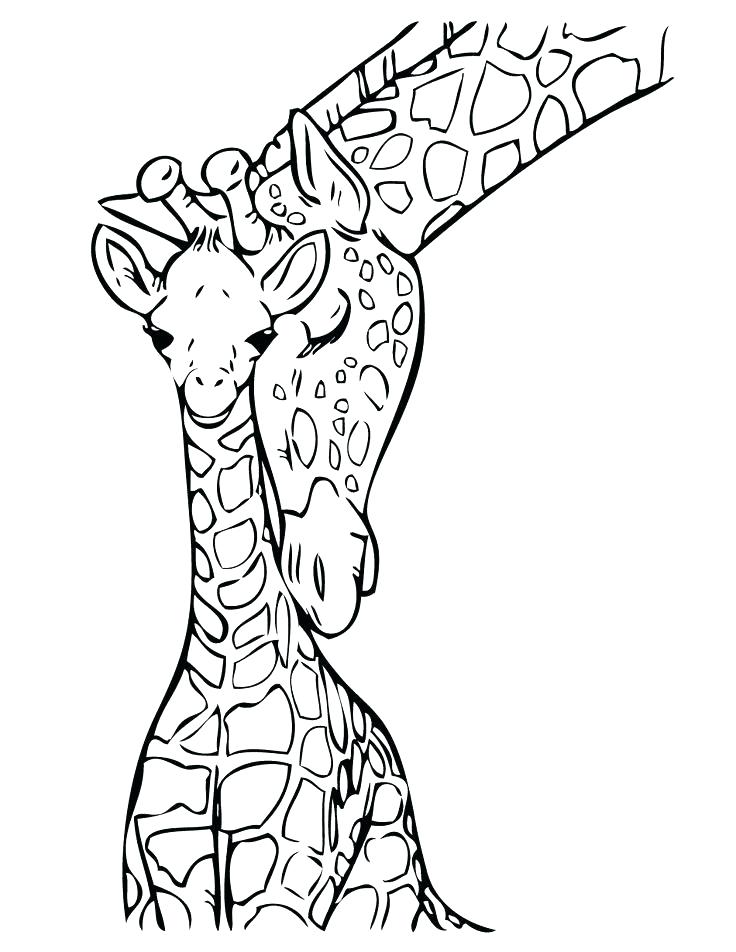 736x952 Cute Giraffe Coloring Pages Baby Giraffe Coloring Pages As Well As