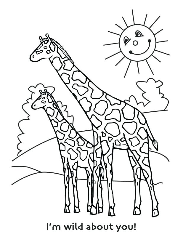 618x800 Cute Giraffe Colouring Pages Printable Coloring Giraffe Toy