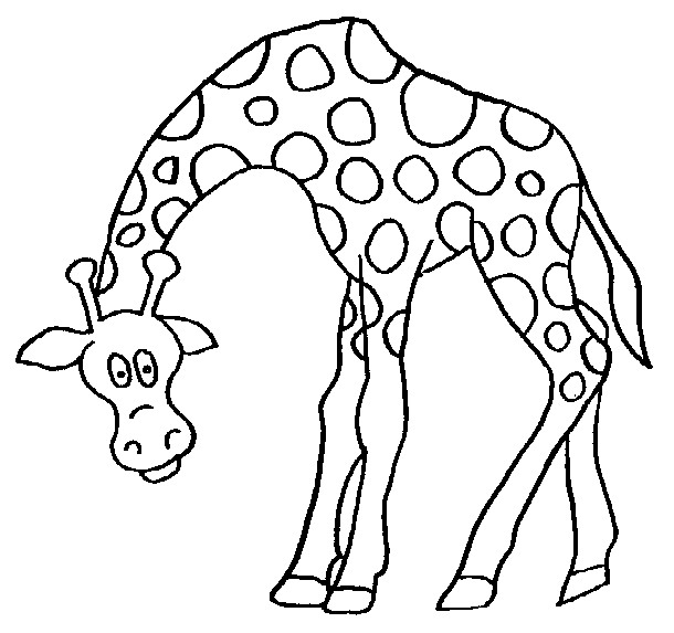 610x573 Giraffe Coloring Pages Printable Kids N Fun 45 Coloring Pages