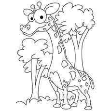 230x230 Top 20 Free Printable Giraffe Coloring Pages Online Giraffe, Big
