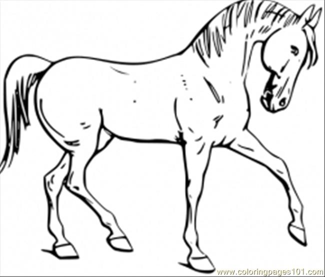 650x553 Awesome Design Ideas Free Printable Horse Coloring Pages Funny