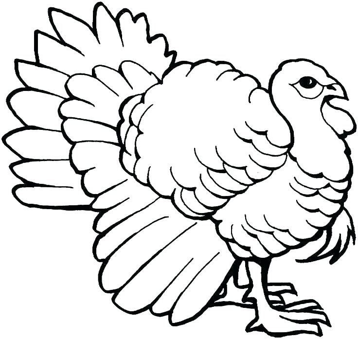 736x697 Thanksgiving Free Printable Coloring Pages Coloring Page Turkey