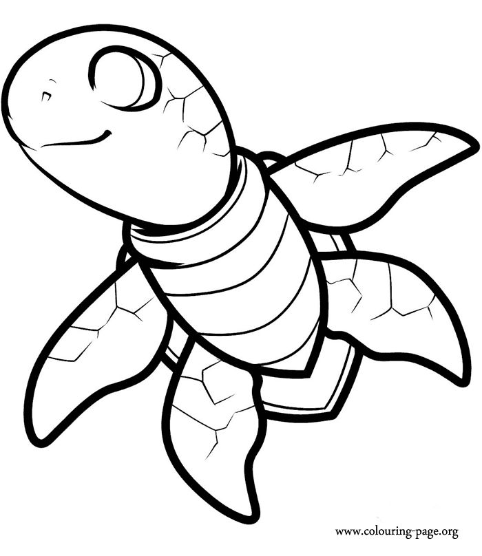 Funny Turtle Coloring Pages
