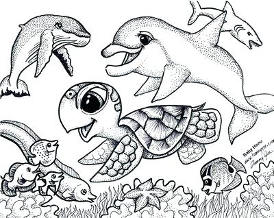 400x318 Cute Dolphin Coloring Pages Cute Sea Turtle Coloring Page Cute