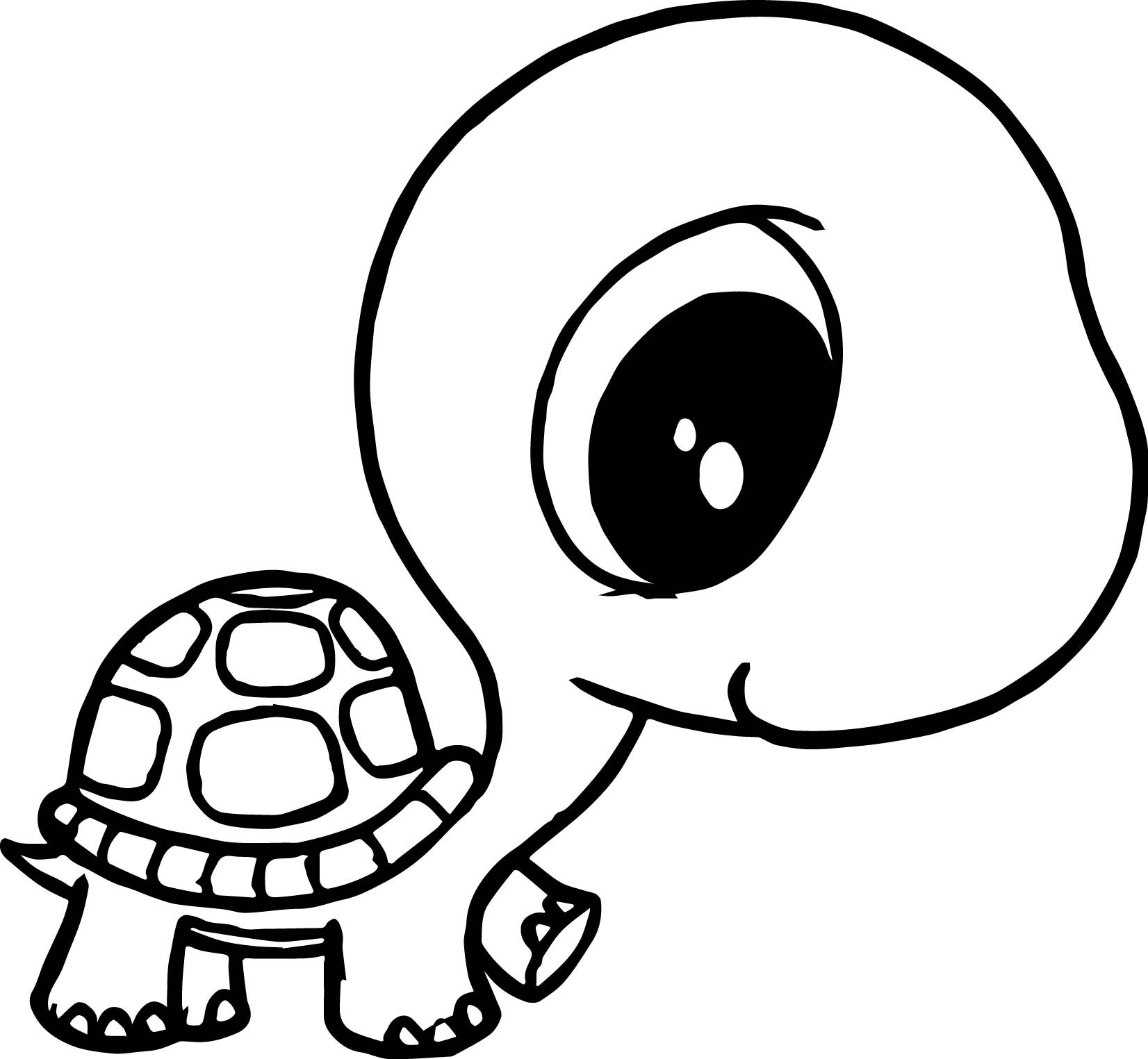 1652x1525 Fresh Tortoise Page To Color Gallery Printable Coloring Sheet