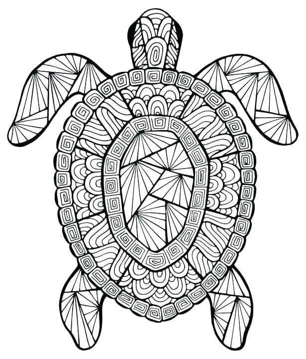 615x720 Baby Turtle Coloring Pages Best Turtle Coloring Page