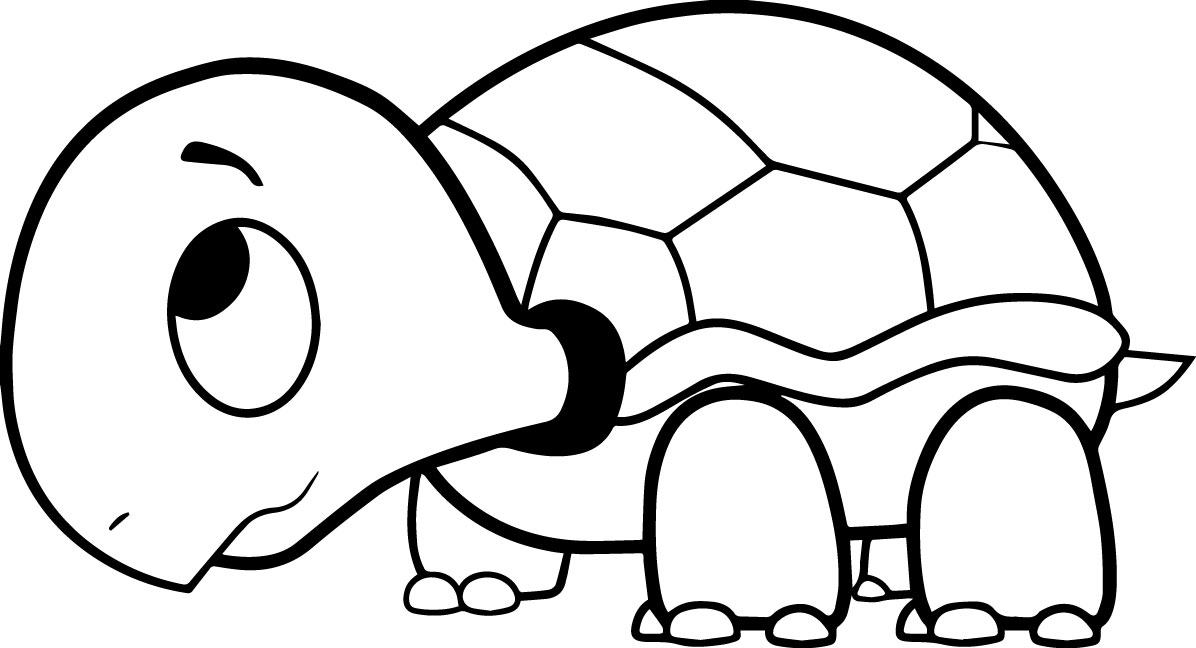 1196x648 Turtle Coloring Sheet Turtle Coloring Pages For Kids Printable