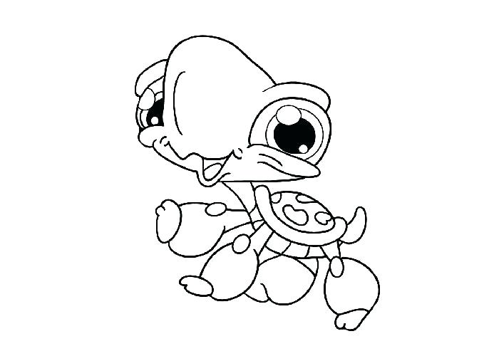 700x500 Baby Turtle Drawing Print Out Baby Turtle Coloring Book Pages Baby