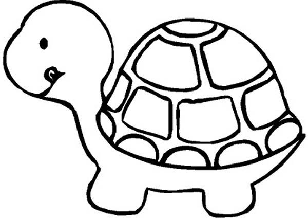 600x424 Clever Design Ideas Turtle Coloring Pages Cute Little Page Sun