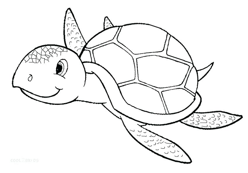 850x594 Coloring Sea Coloring Sea Animals Technolife.site