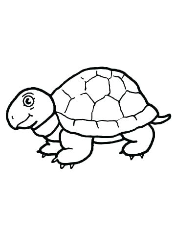 360x480 Tortoise Coloring Page Galapagos Tortoise Colouring Pages