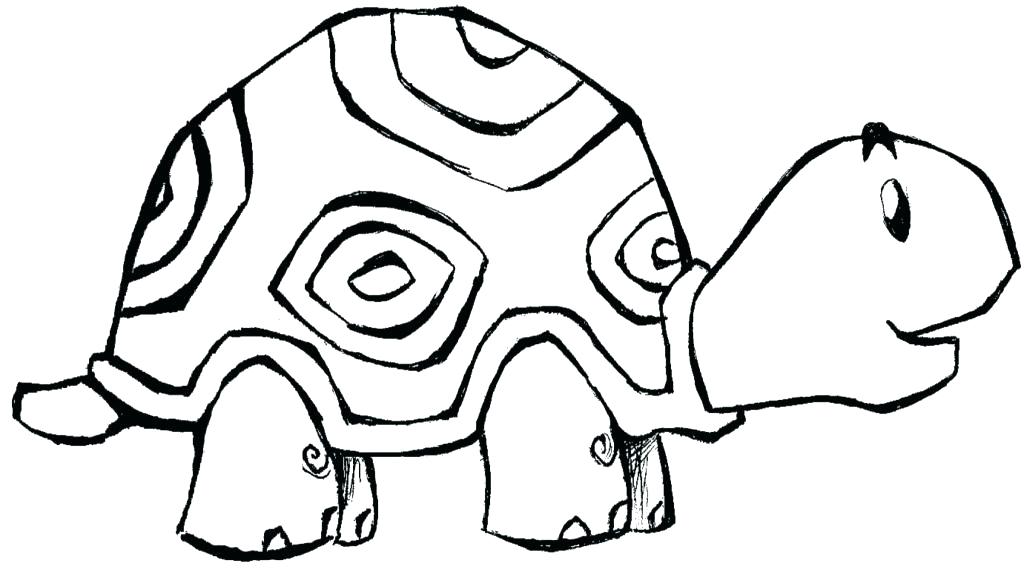1024x575 Tortoise Coloring Page Tortoise Coloring Page Free Printable