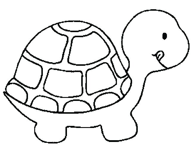 652x504 Tortoise Coloring Page Tortoise Coloring Page Strong Shell