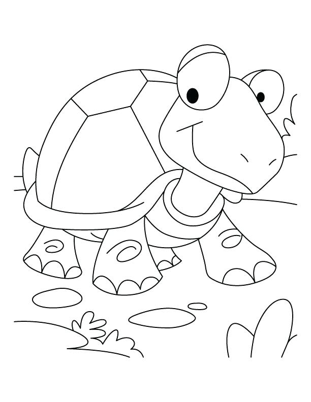612x792 Tortoise Coloring Page Tortoise Won The Race Coloring Pages